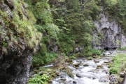 DSC09530.jpg