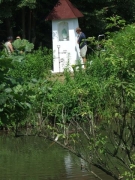 Kapliczka-sw-Jana-30-06-2012-017.jpg