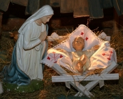 CSC_2288.jpg